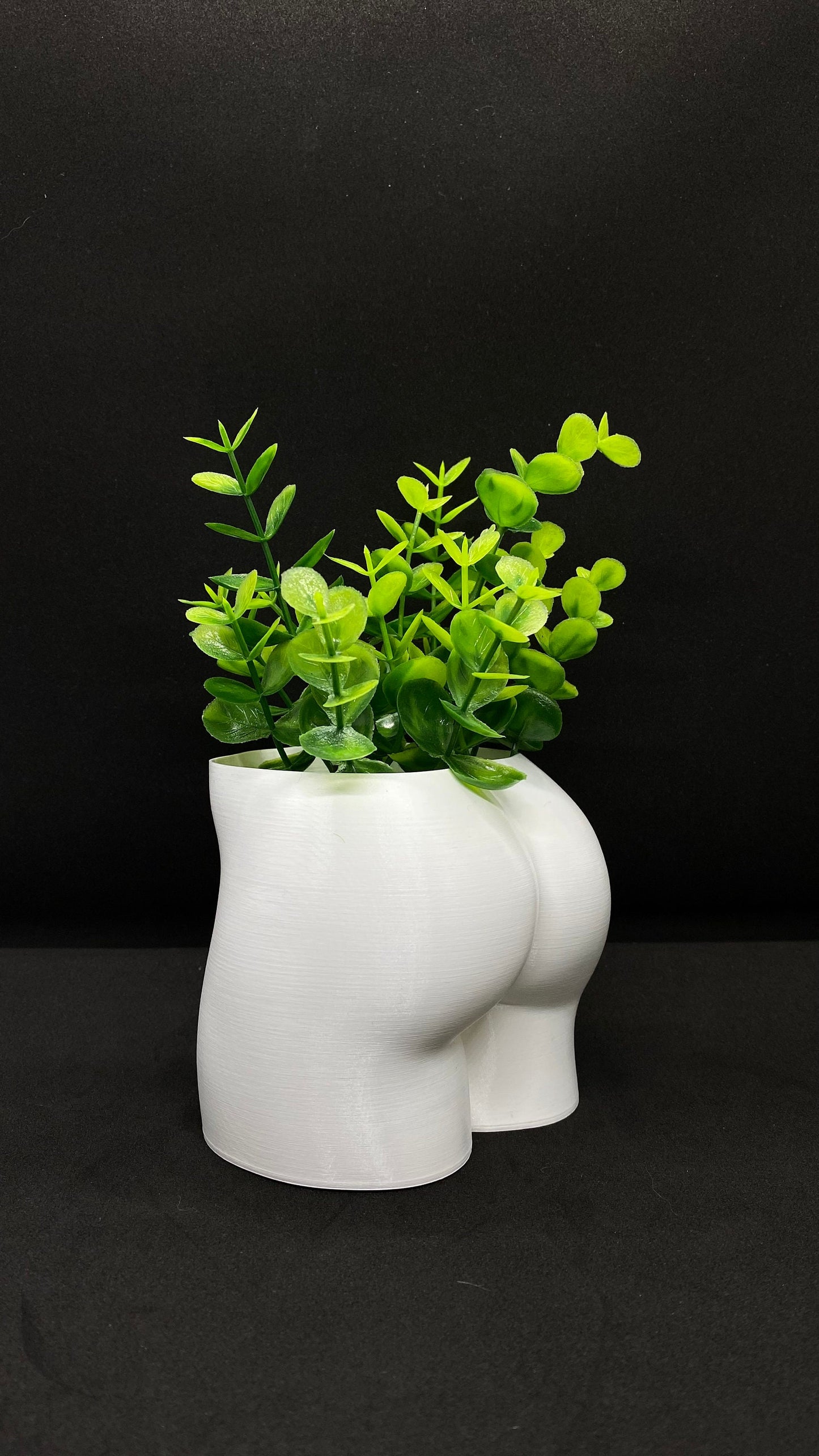 3D printed female butt planter pot with succulent