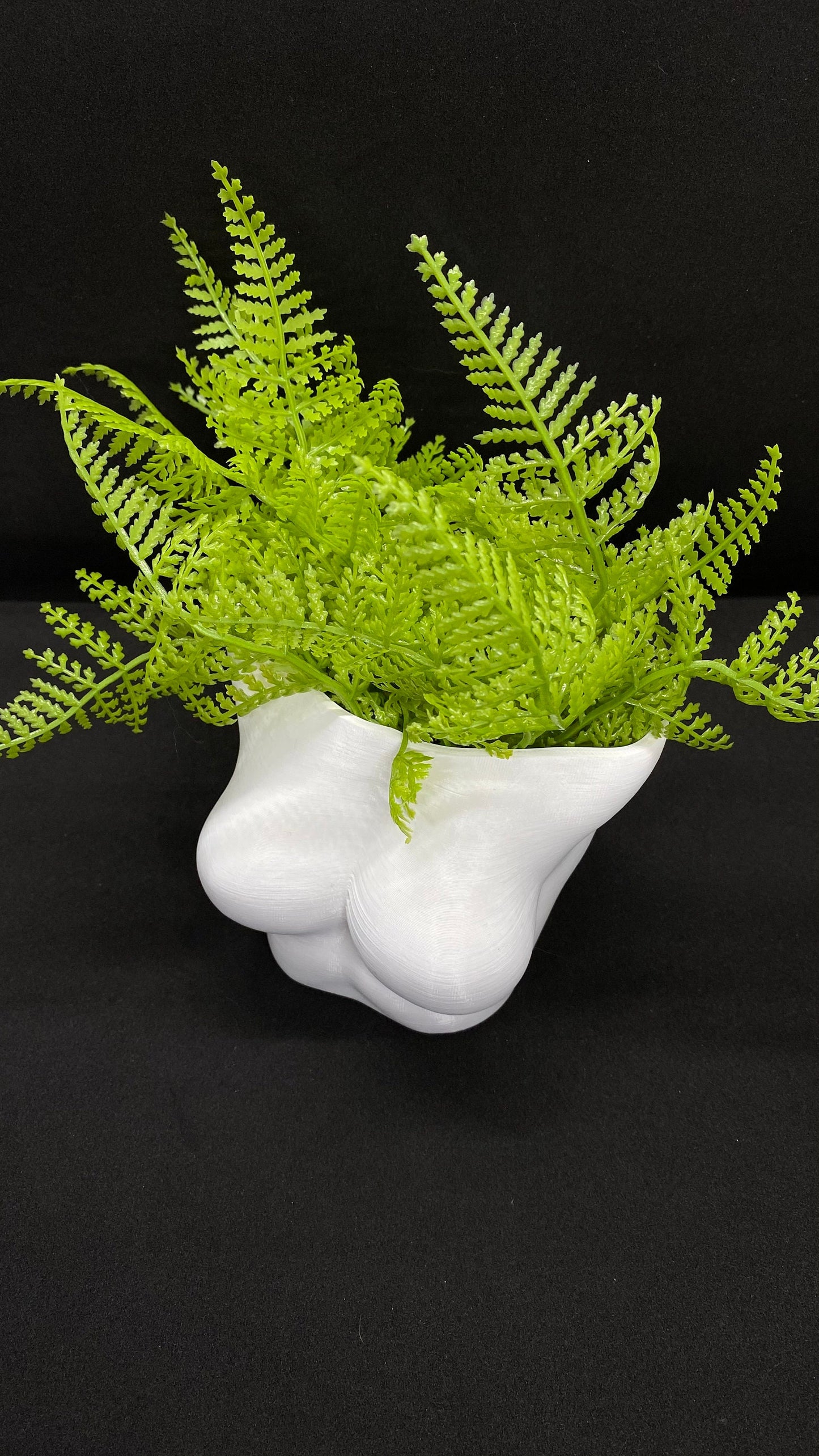 Stylish chest-shaped planter pot for shelf display