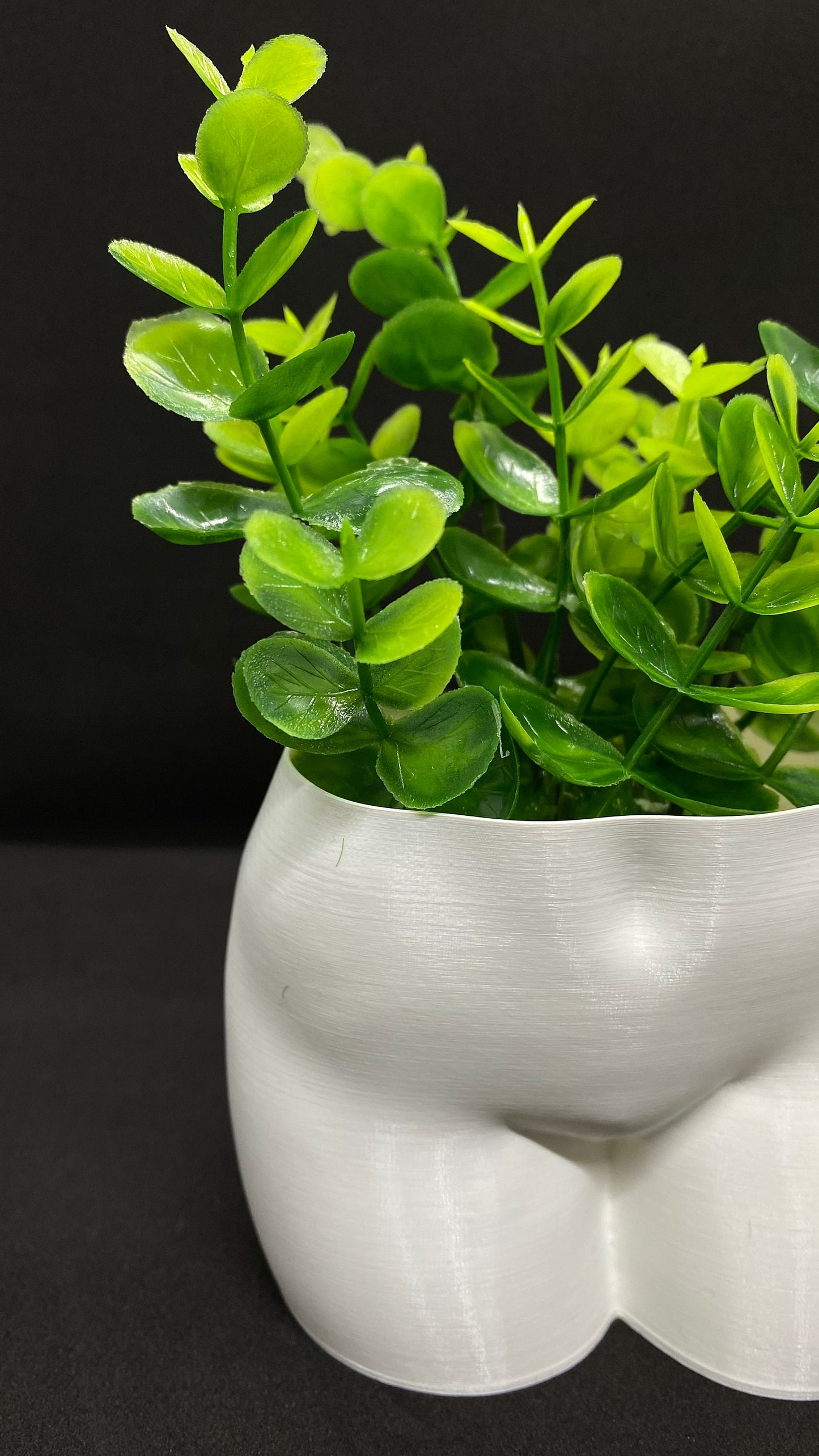Curvy butt flower pot for modern home décor