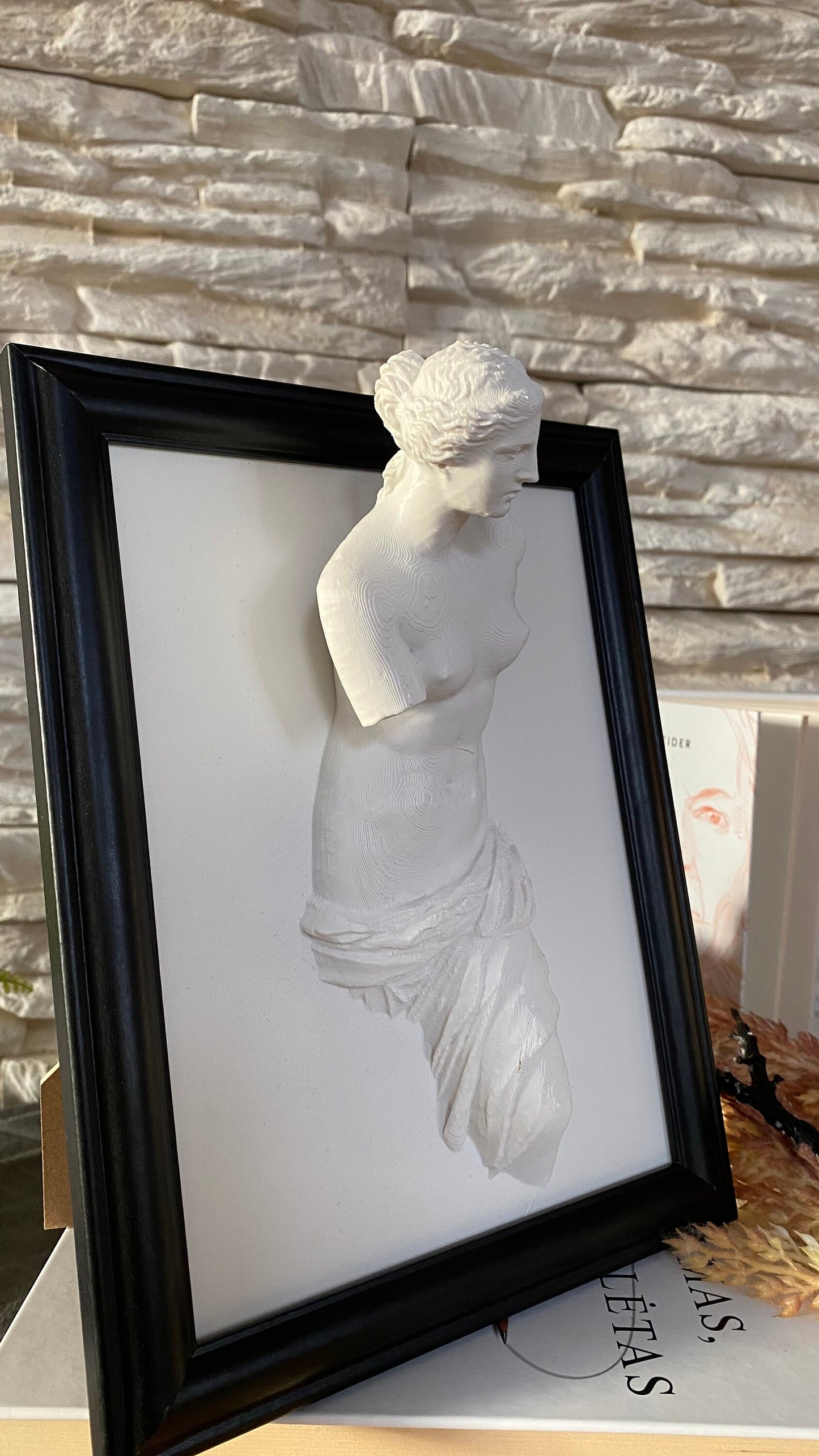 Framed Venus de Milo / 3D printed