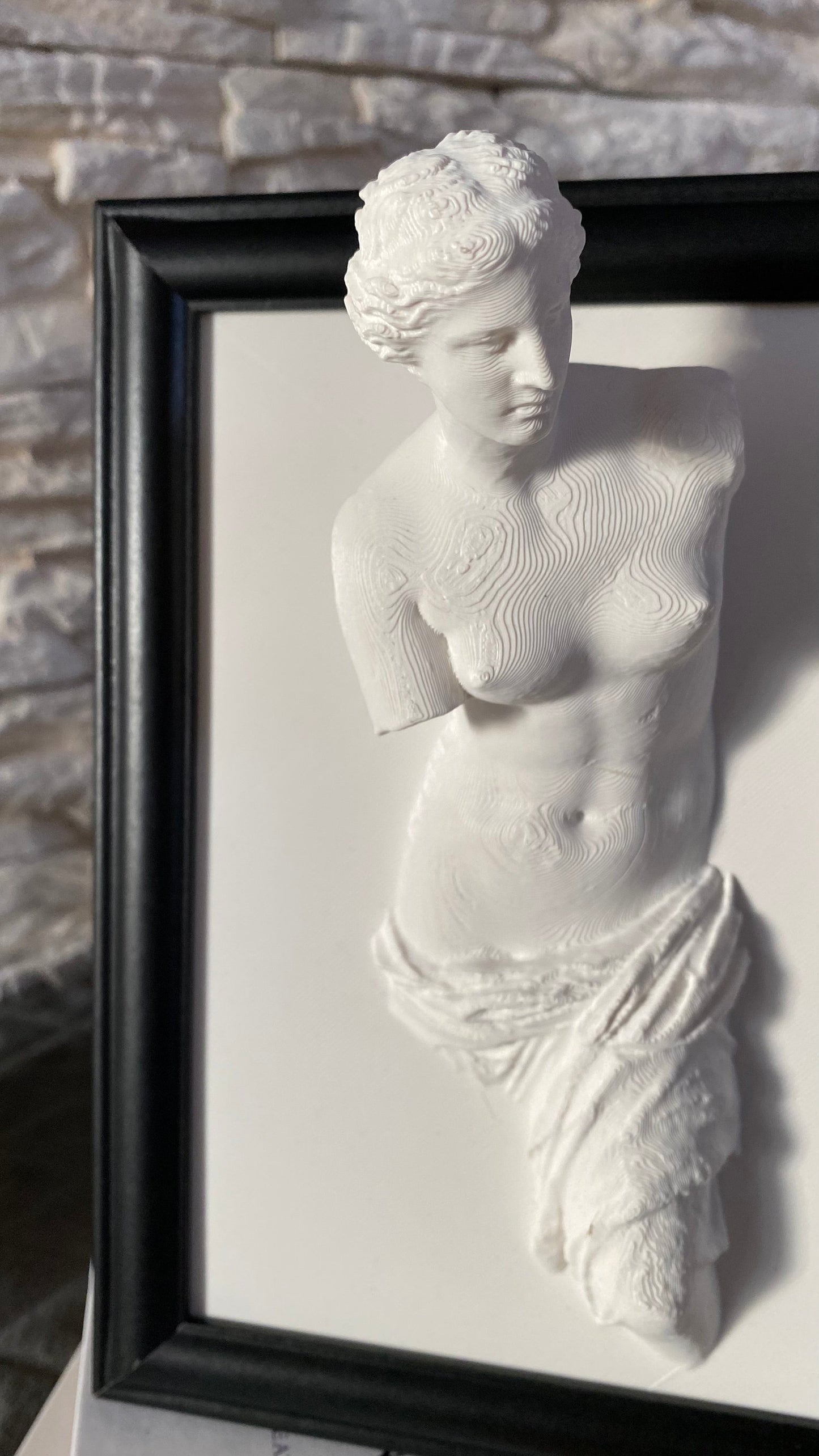 Framed Venus de Milo / 3D printed
