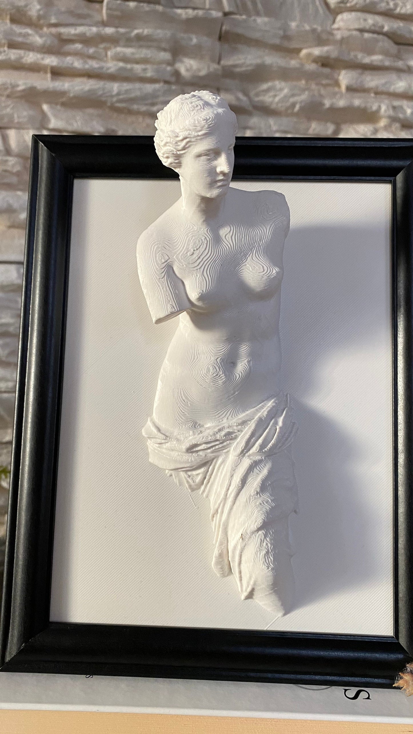 Framed Venus de Milo / 3D printed