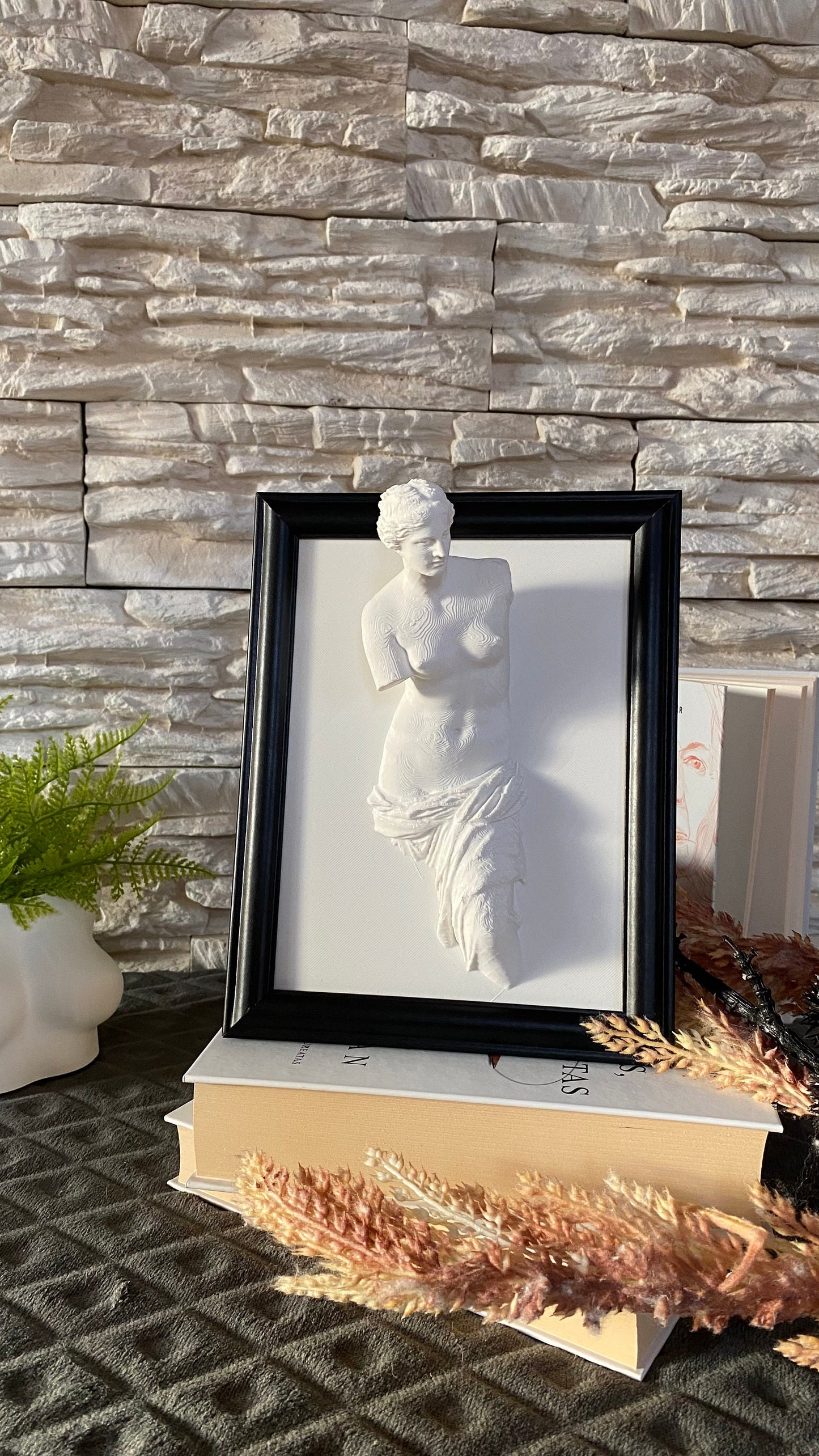 Framed Venus de Milo / 3D printed