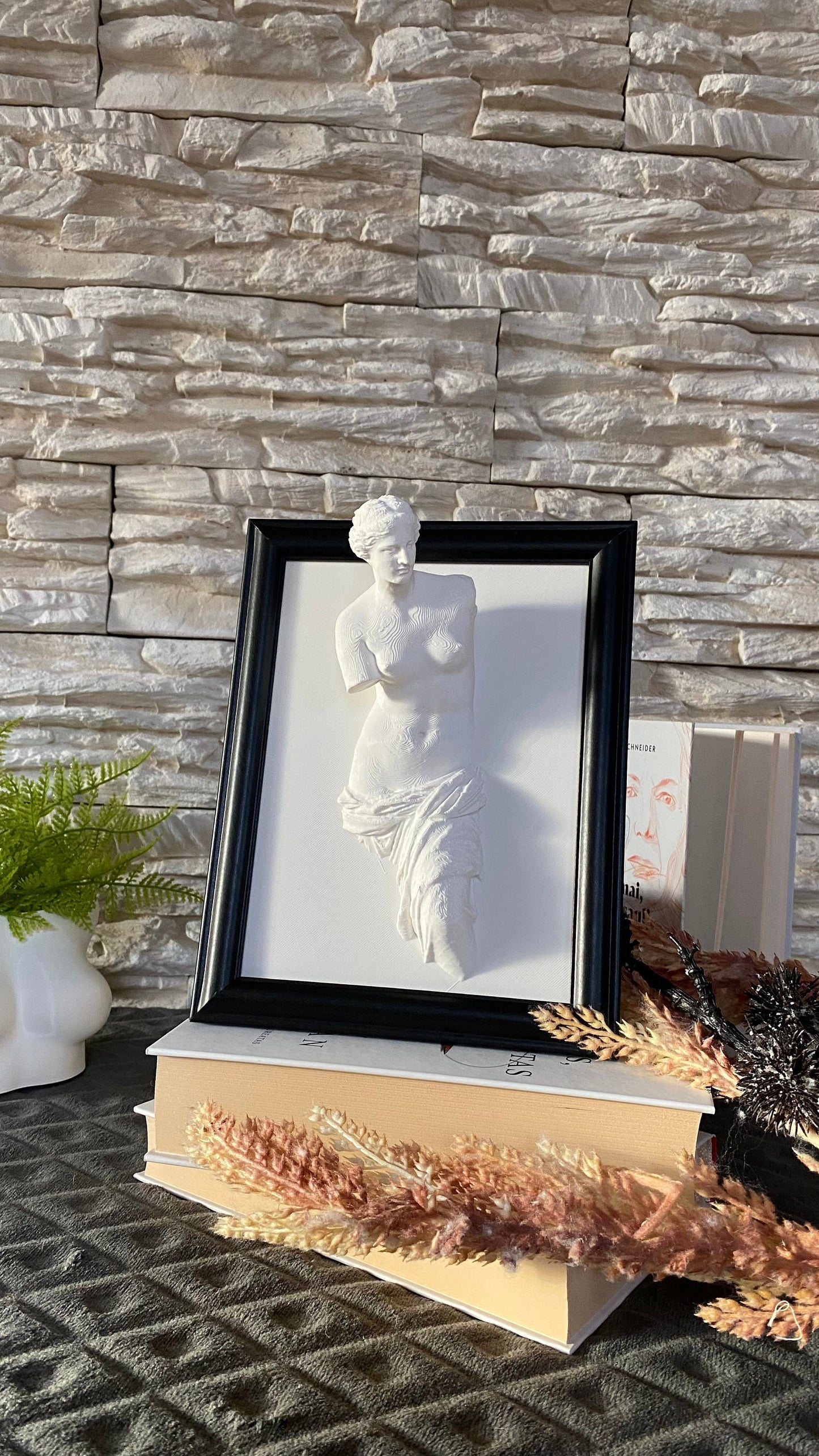 Framed Venus de Milo / 3D printed