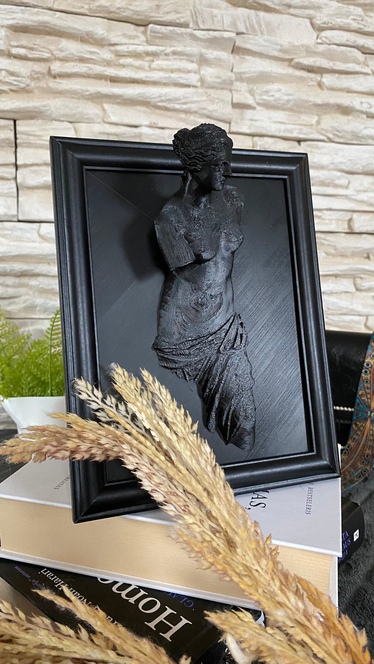 Framed Venus de Milo / 3D printed
