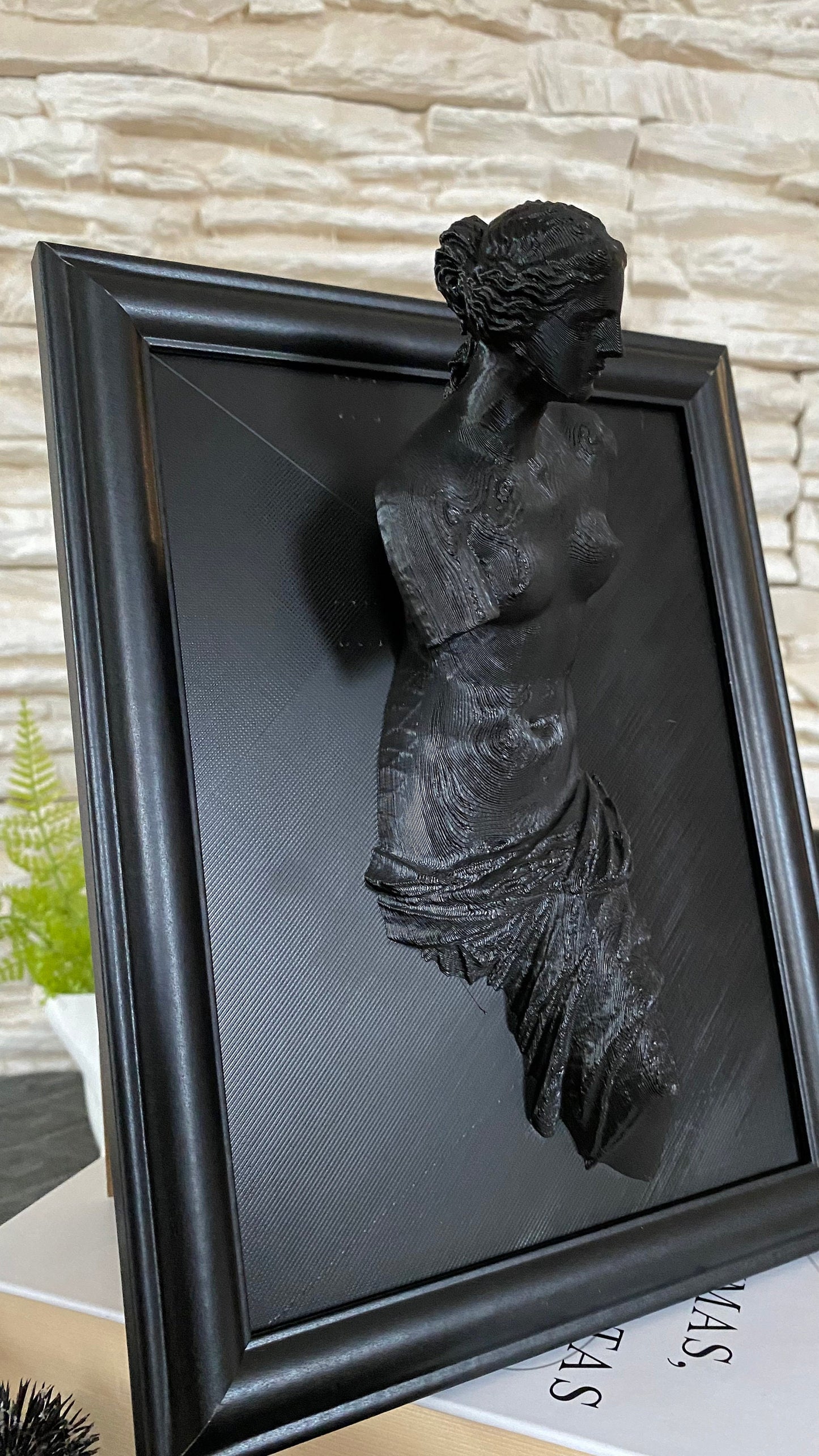 Framed Venus de Milo / 3D printed