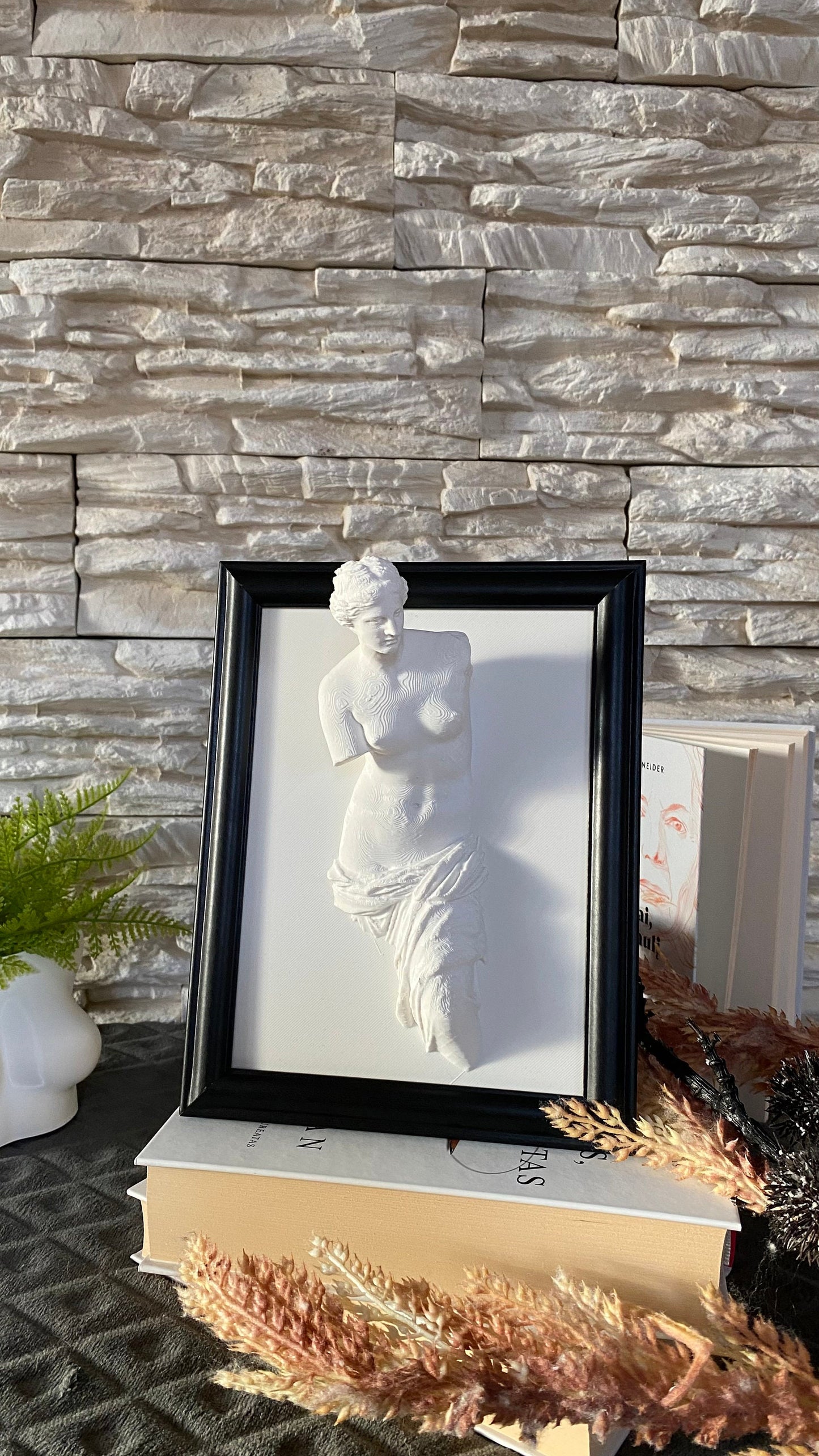 Framed Venus de Milo / 3D printed