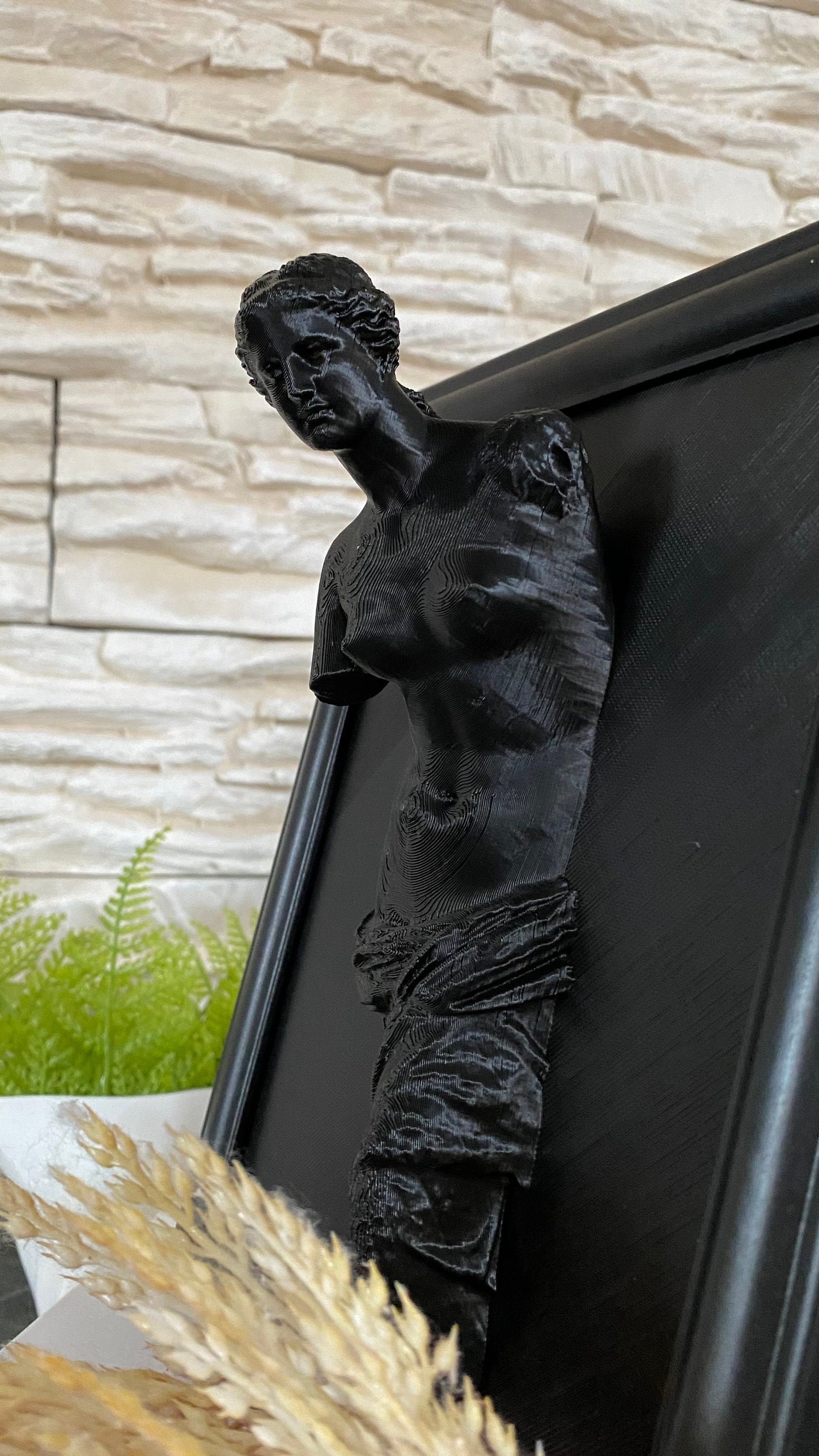 Framed Venus de Milo / 3D printed