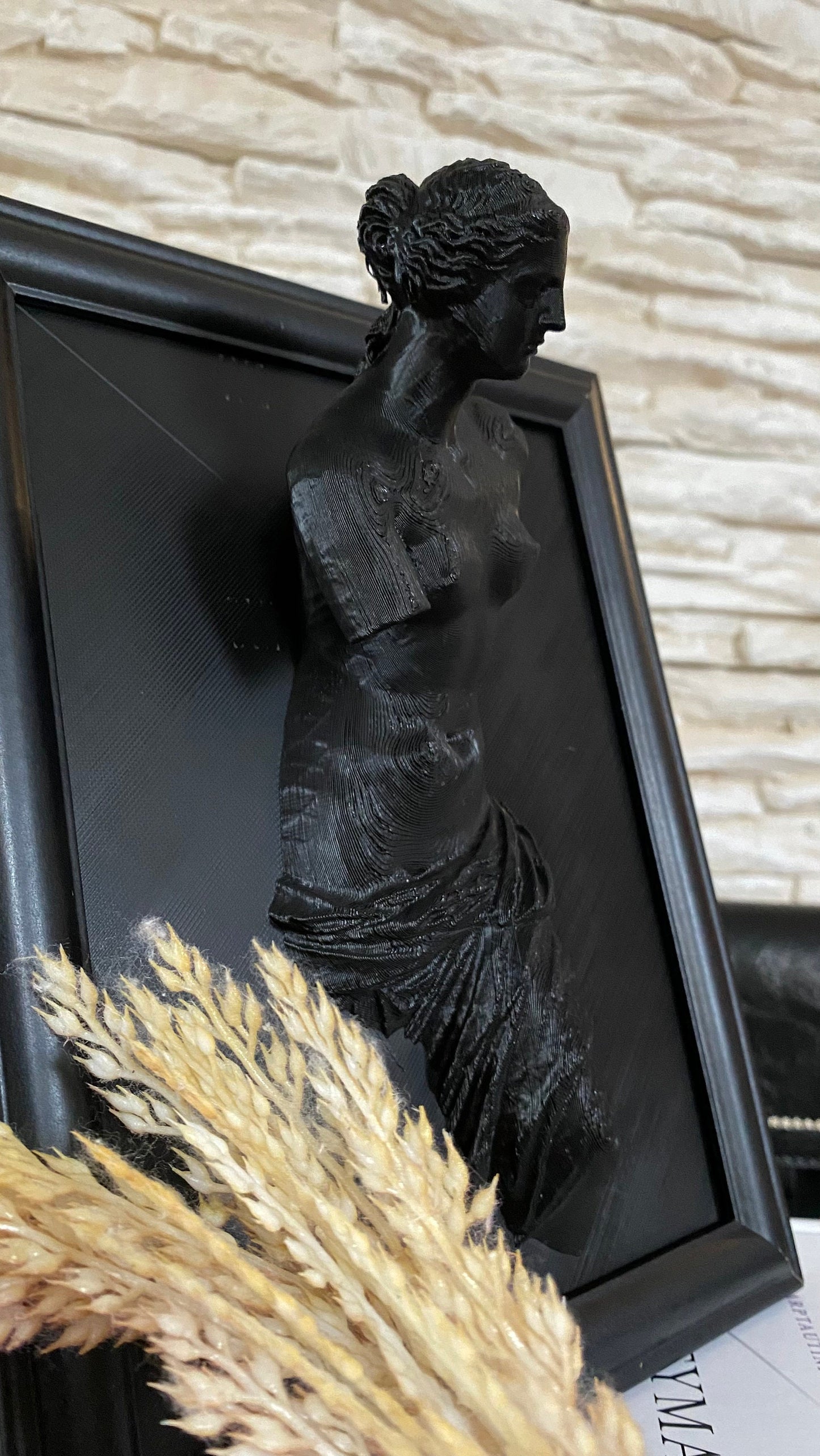 Framed Venus de Milo / 3D printed