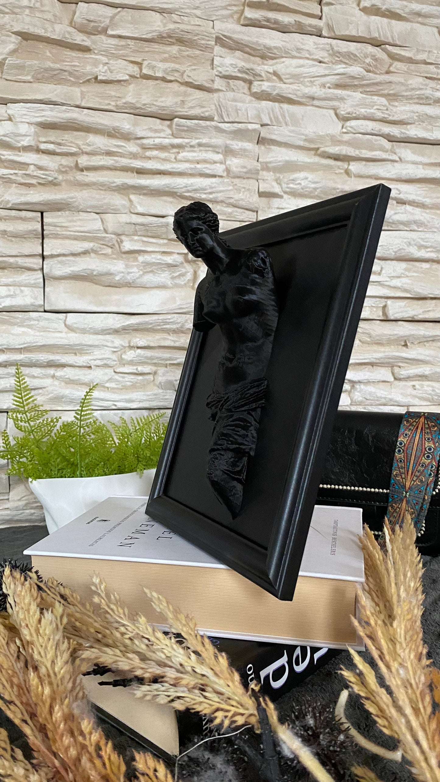 Framed Venus de Milo / 3D printed