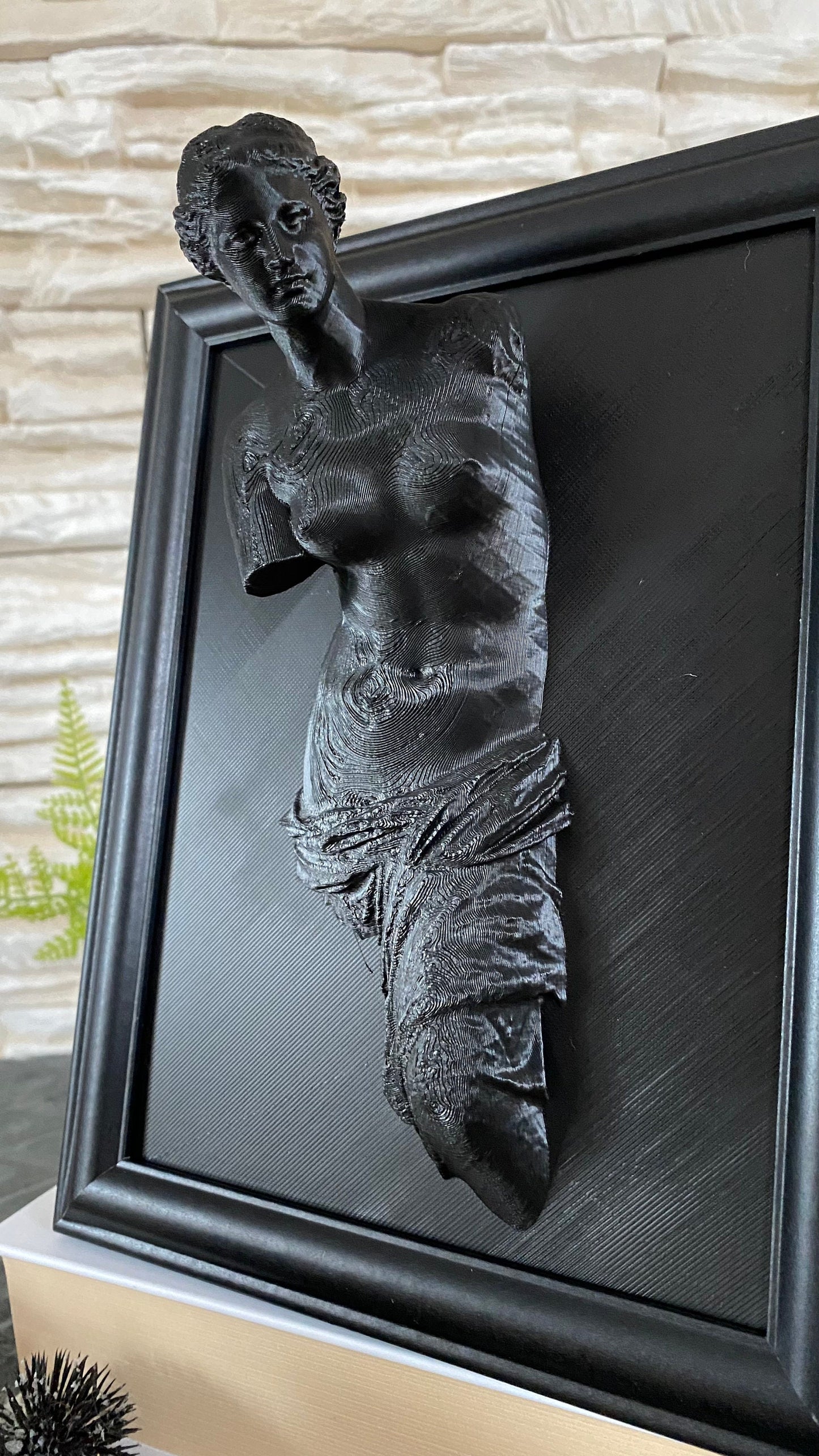 Framed Venus de Milo / 3D printed