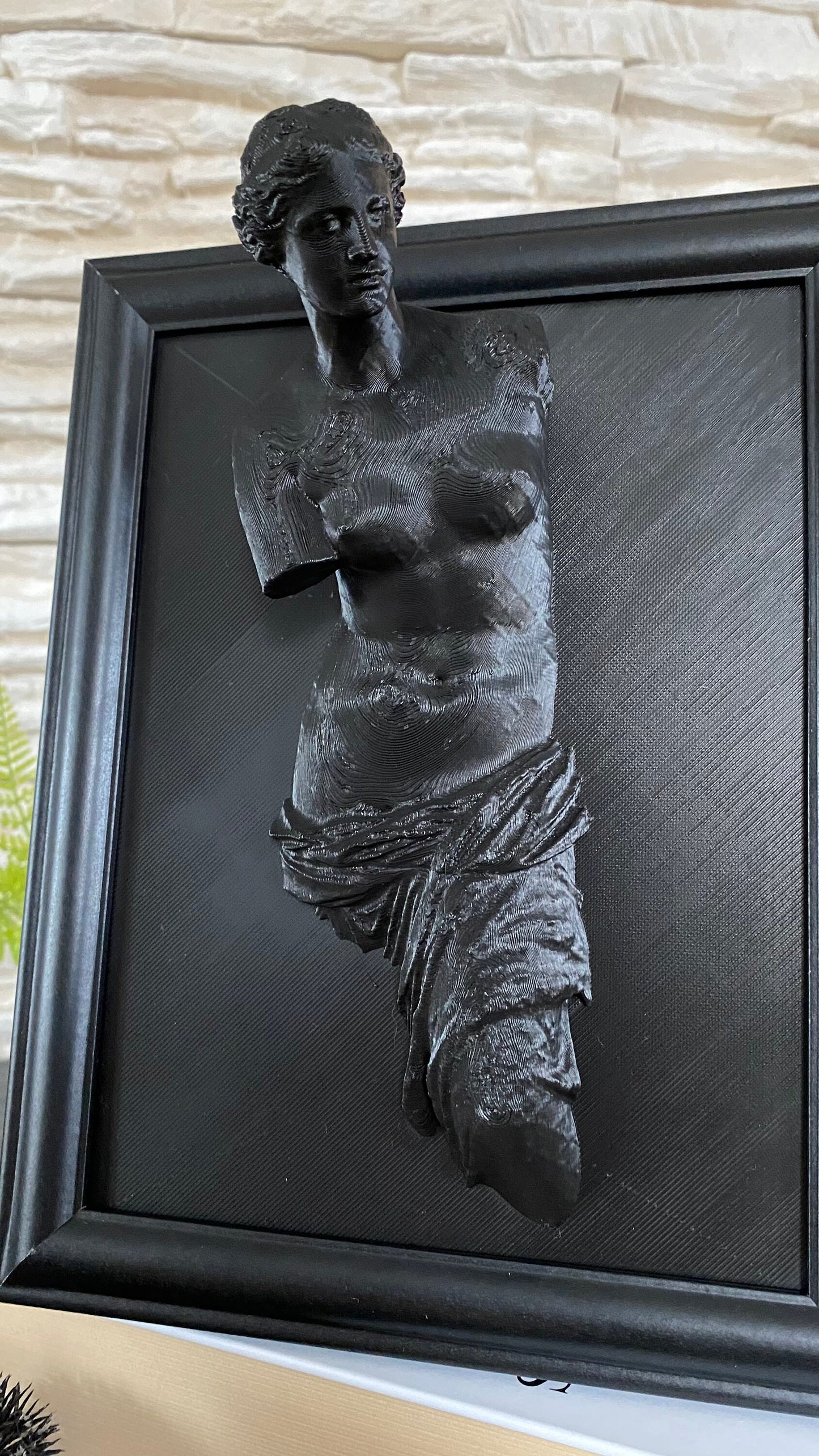 Framed Venus de Milo / 3D printed