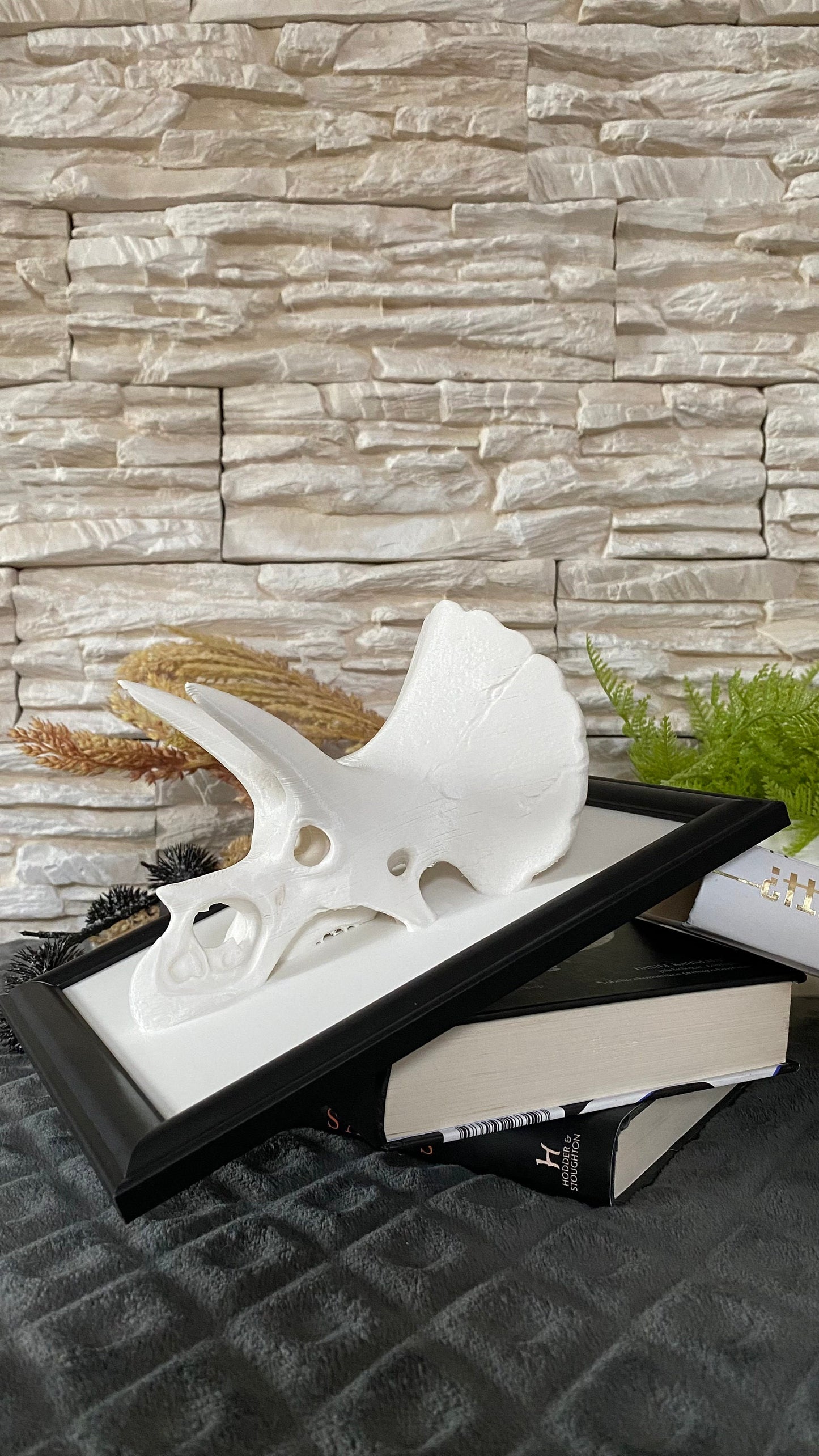 Framed Triceratops Skull Wall Art / 3D printed