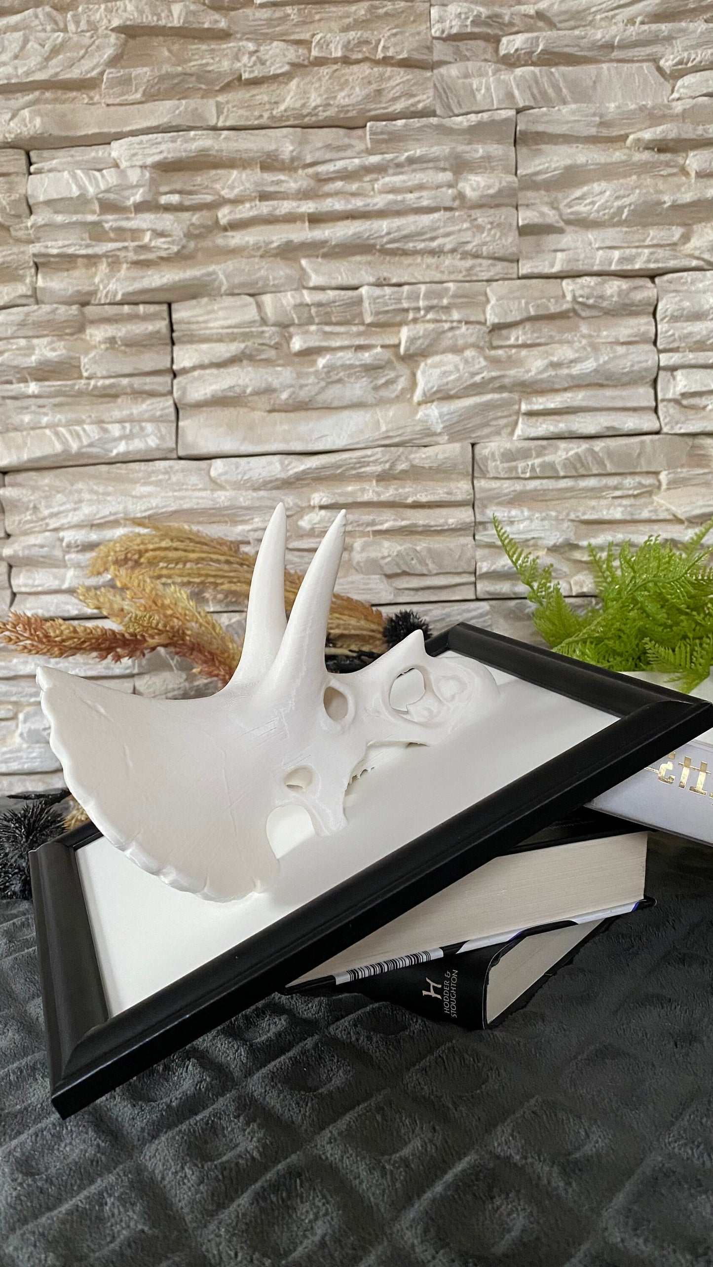 Framed Triceratops Skull Wall Art / 3D printed