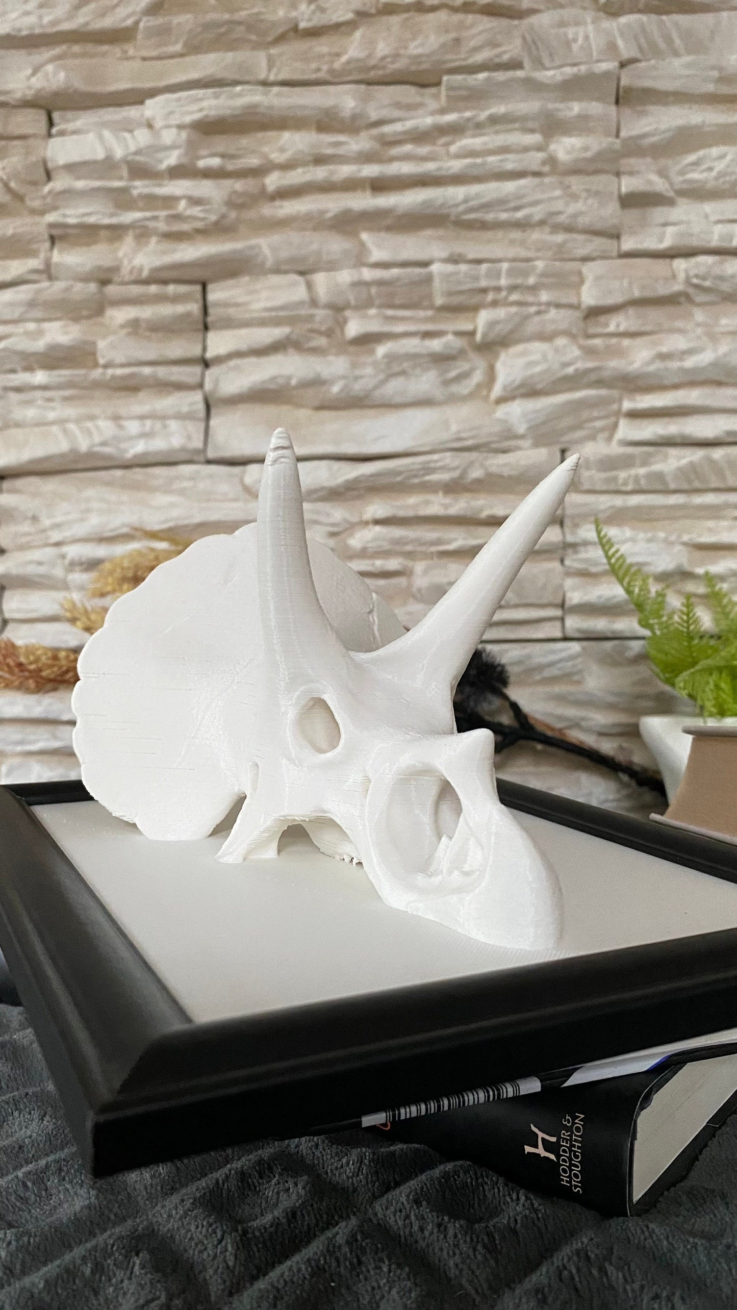 Framed Triceratops Skull Wall Art / 3D printed