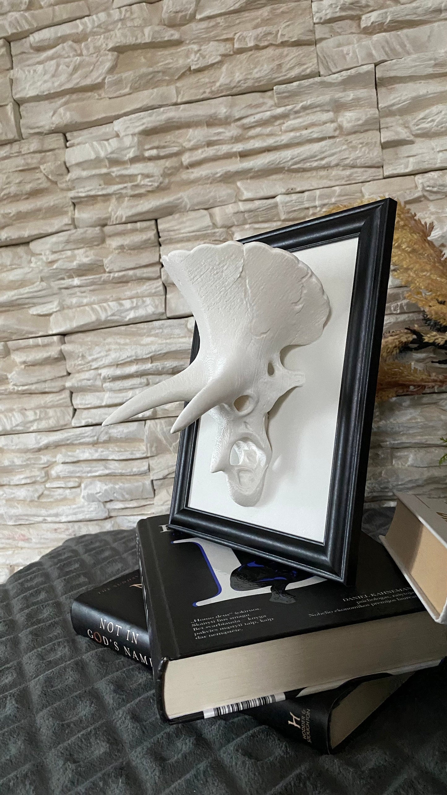 Framed Triceratops Skull Wall Art / 3D printed