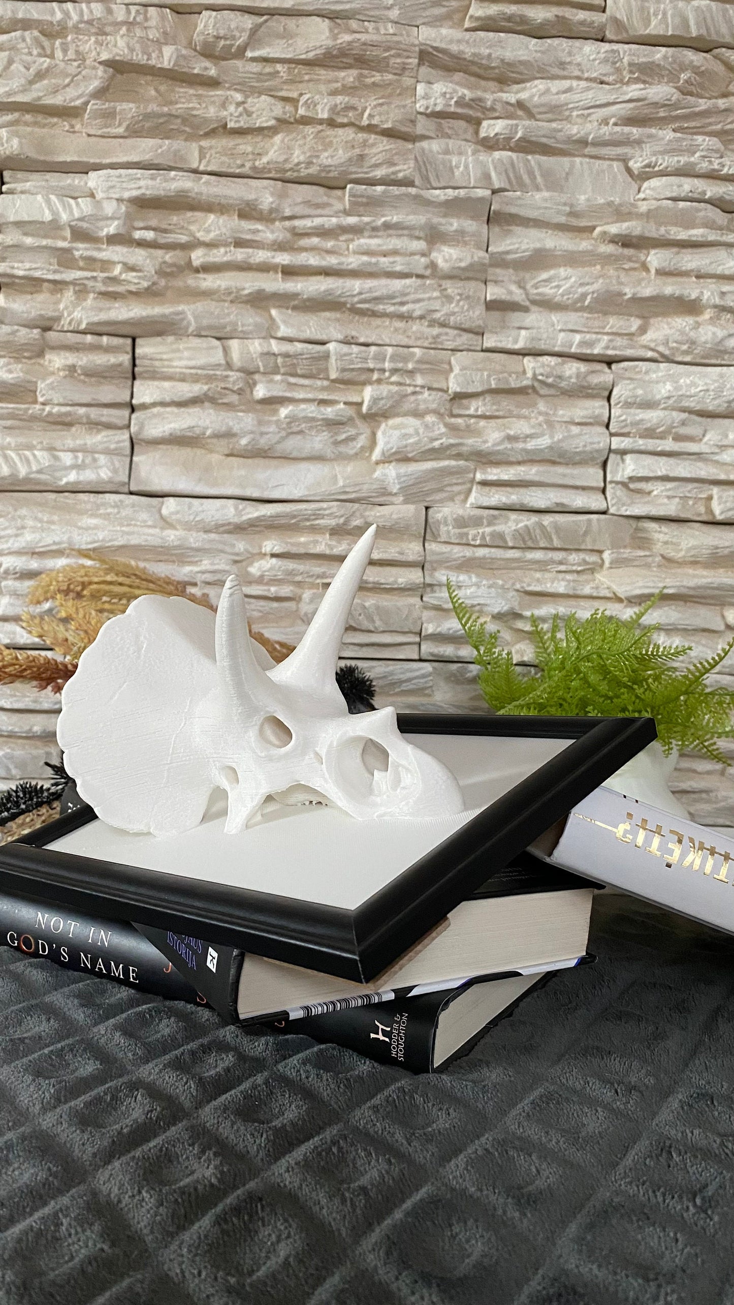 Framed Triceratops Skull Wall Art / 3D printed
