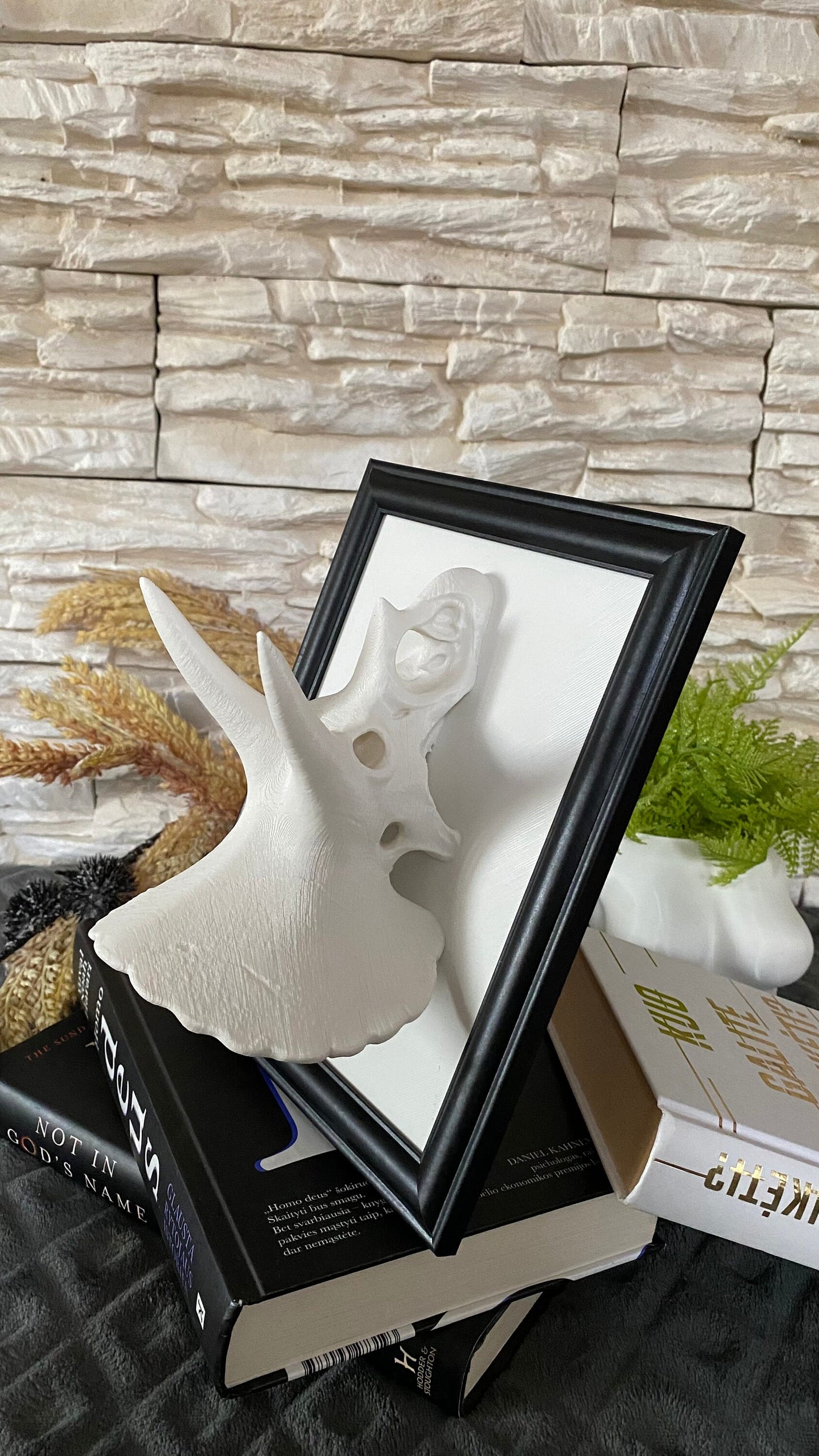 Framed Triceratops Skull Wall Art / 3D printed