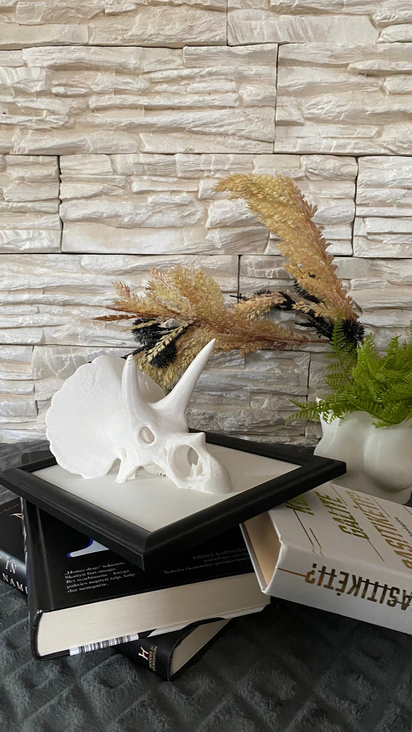 Framed Triceratops Skull Wall Art / 3D printed