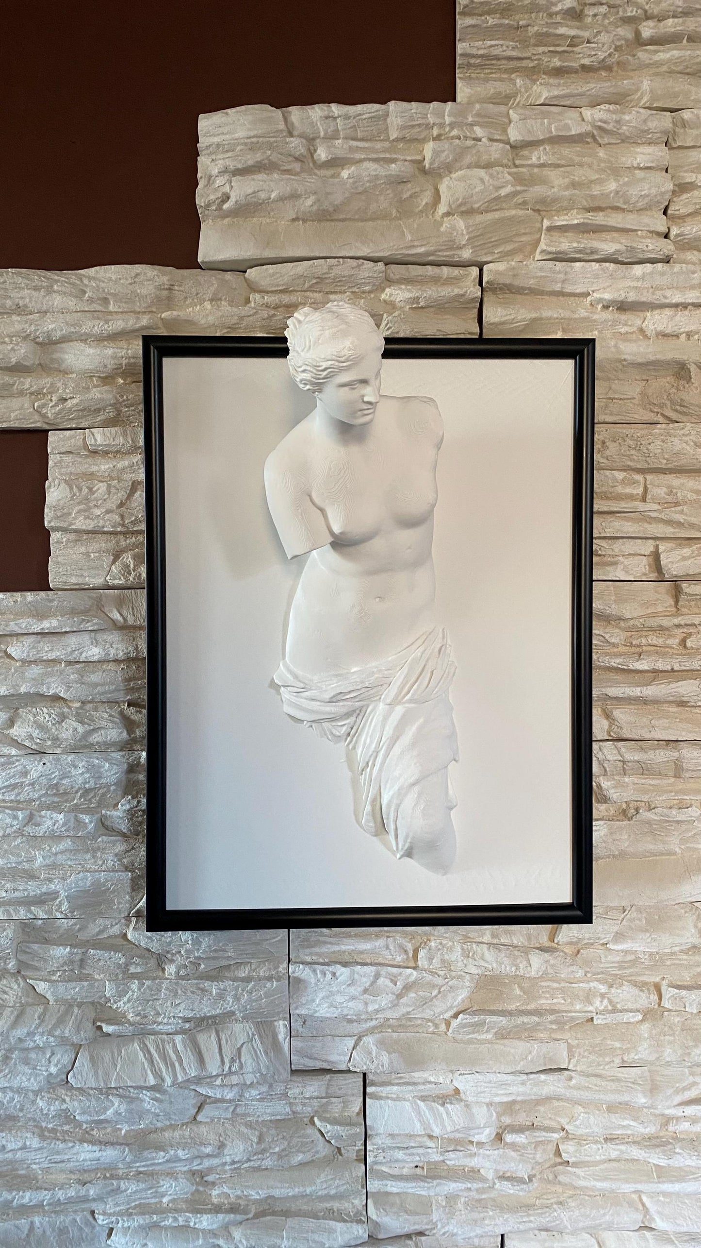 Framed Venus de Milo / 3D printed