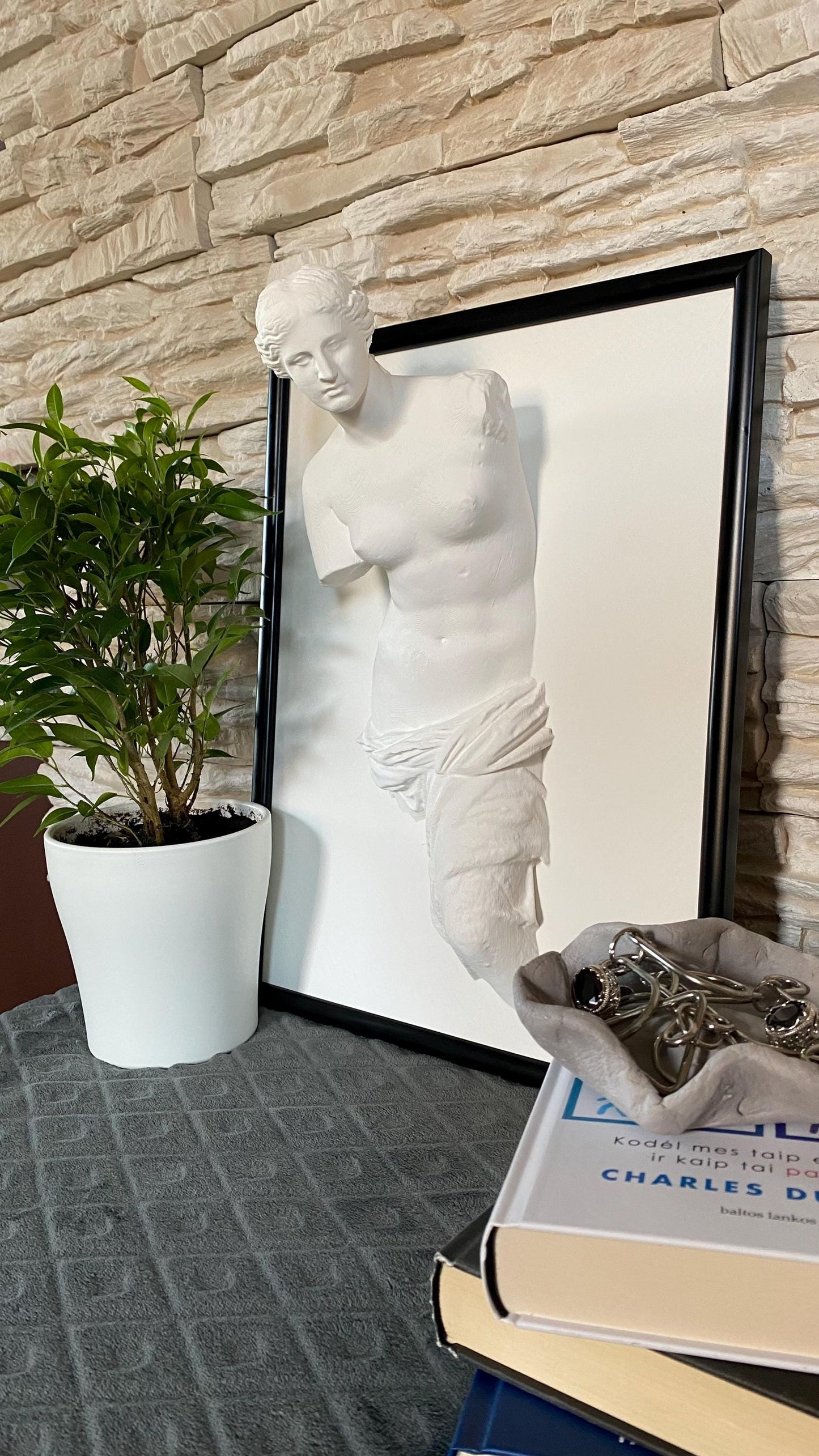 Framed Venus de Milo / 3D printed