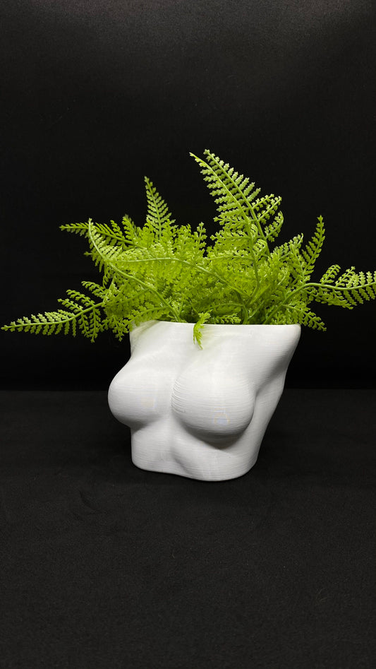3D printed female chest planter pot with succulent