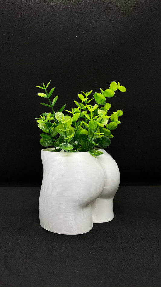 3D printed female butt planter pot with succulent