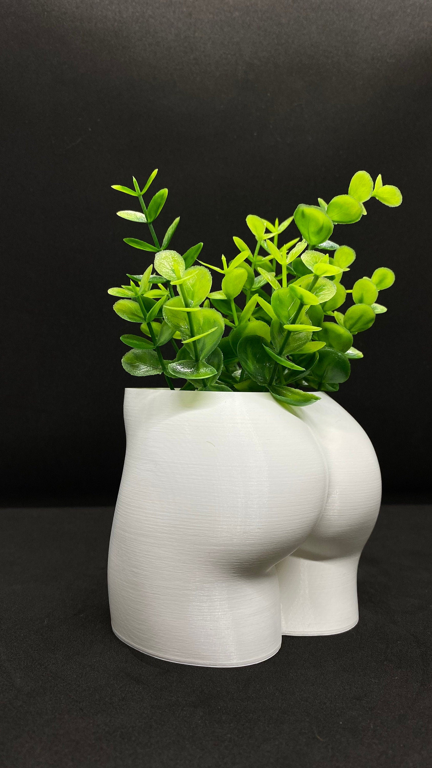 Quirky booty vase with green plant on windowsill