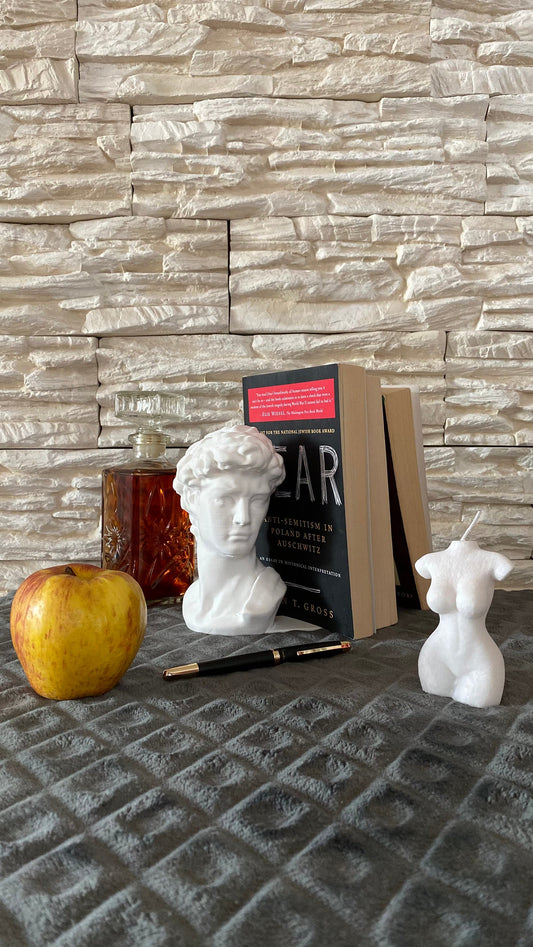 David by Michelangelo Statue Bookend / 3D Printed