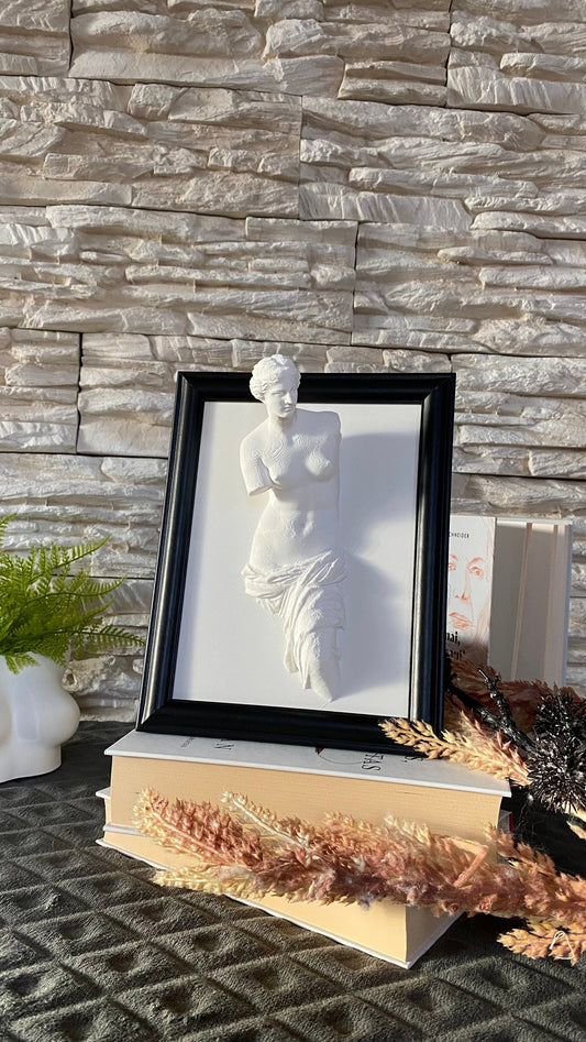 Framed Venus de Milo / 3D printed