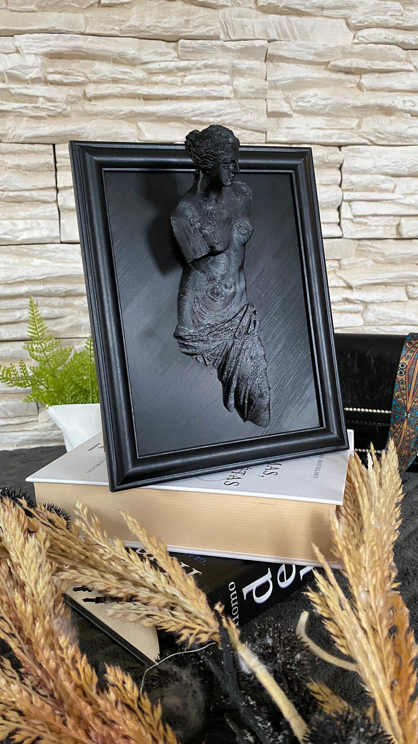Framed Venus de Milo / 3D printed