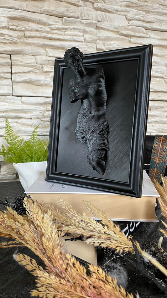 Framed Venus de Milo / 3D printed