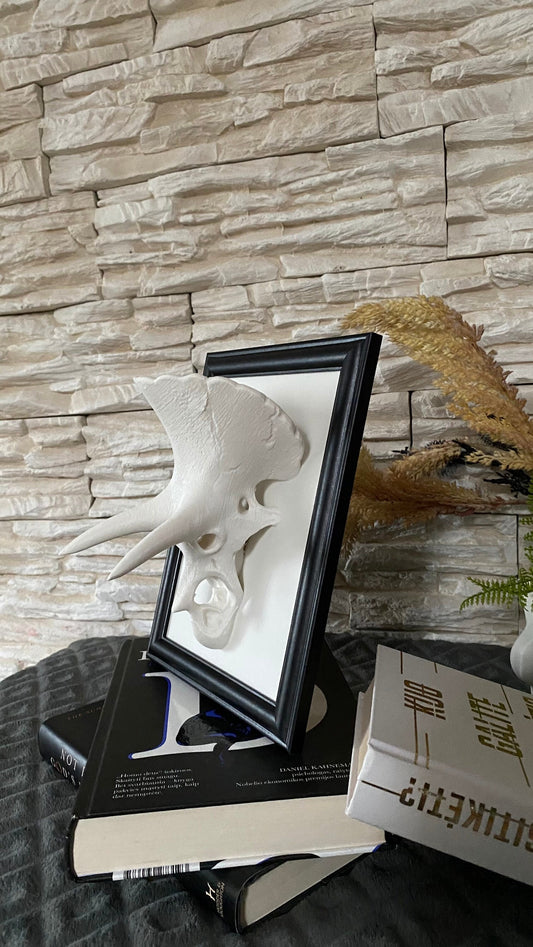 Framed Triceratops Skull Wall Art / 3D printed