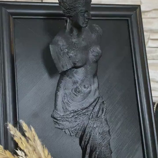Framed Venus de Milo / 3D printed