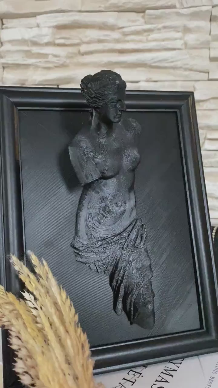 Framed Venus de Milo / 3D printed