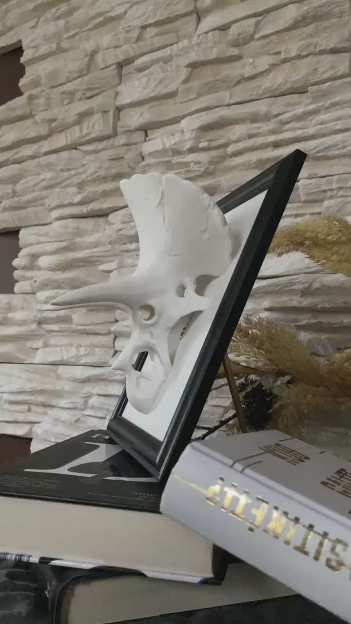 Framed Triceratops Skull Wall Art / 3D printed